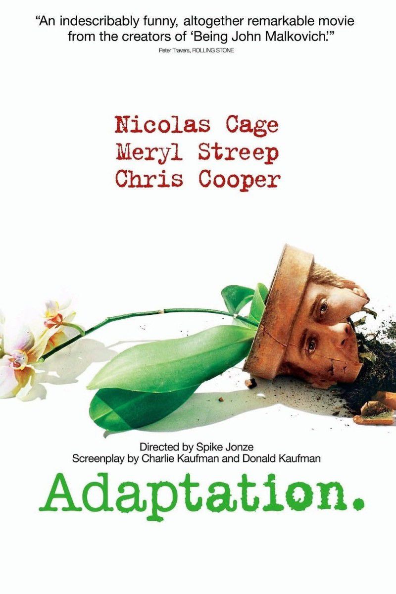 Adaptation