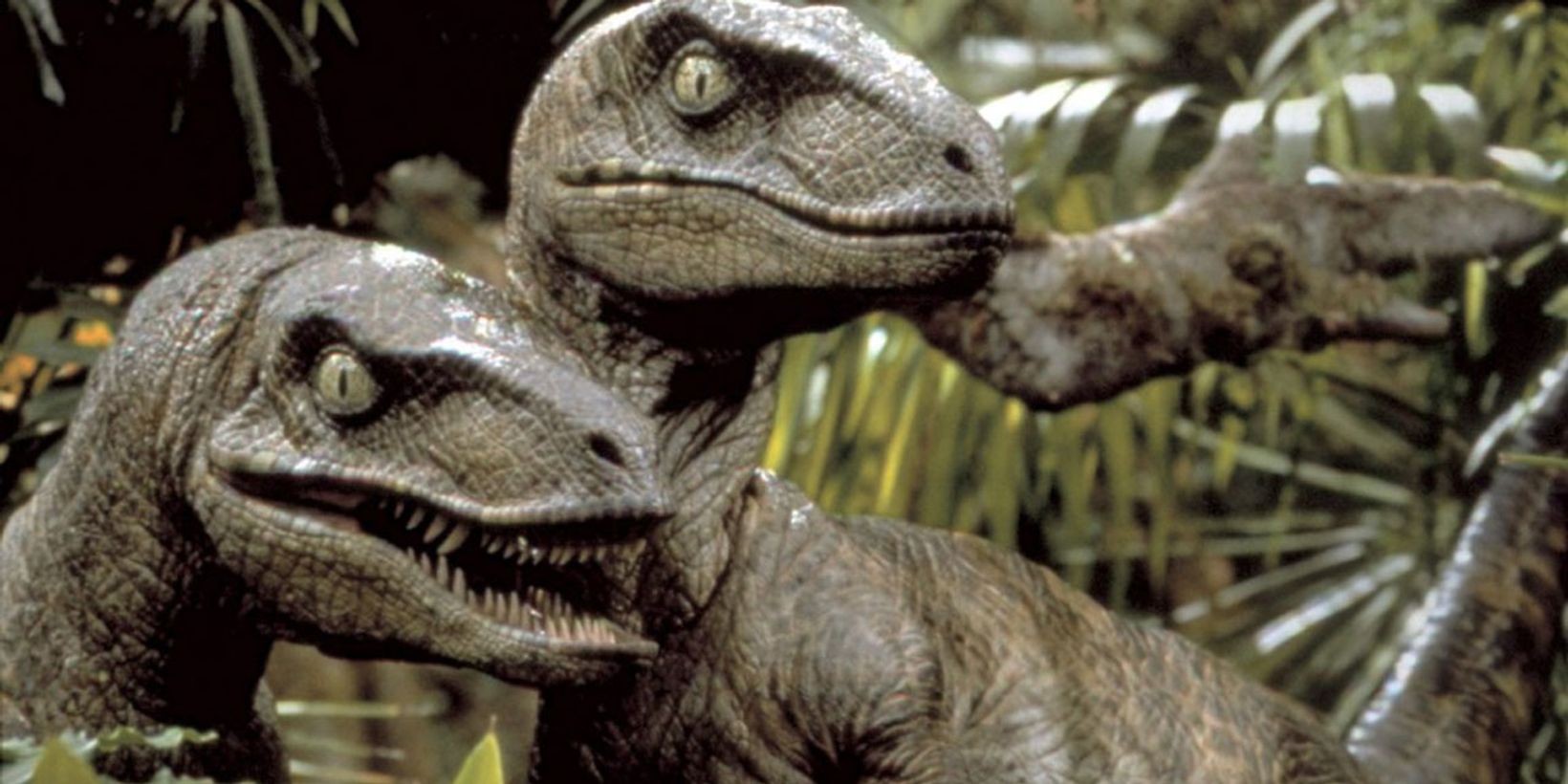 dinoer.jpg