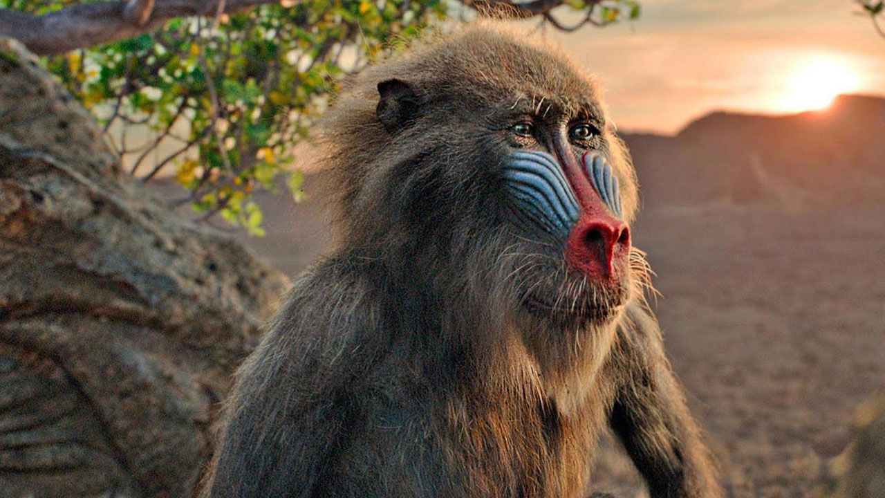 lionking_1.jpg