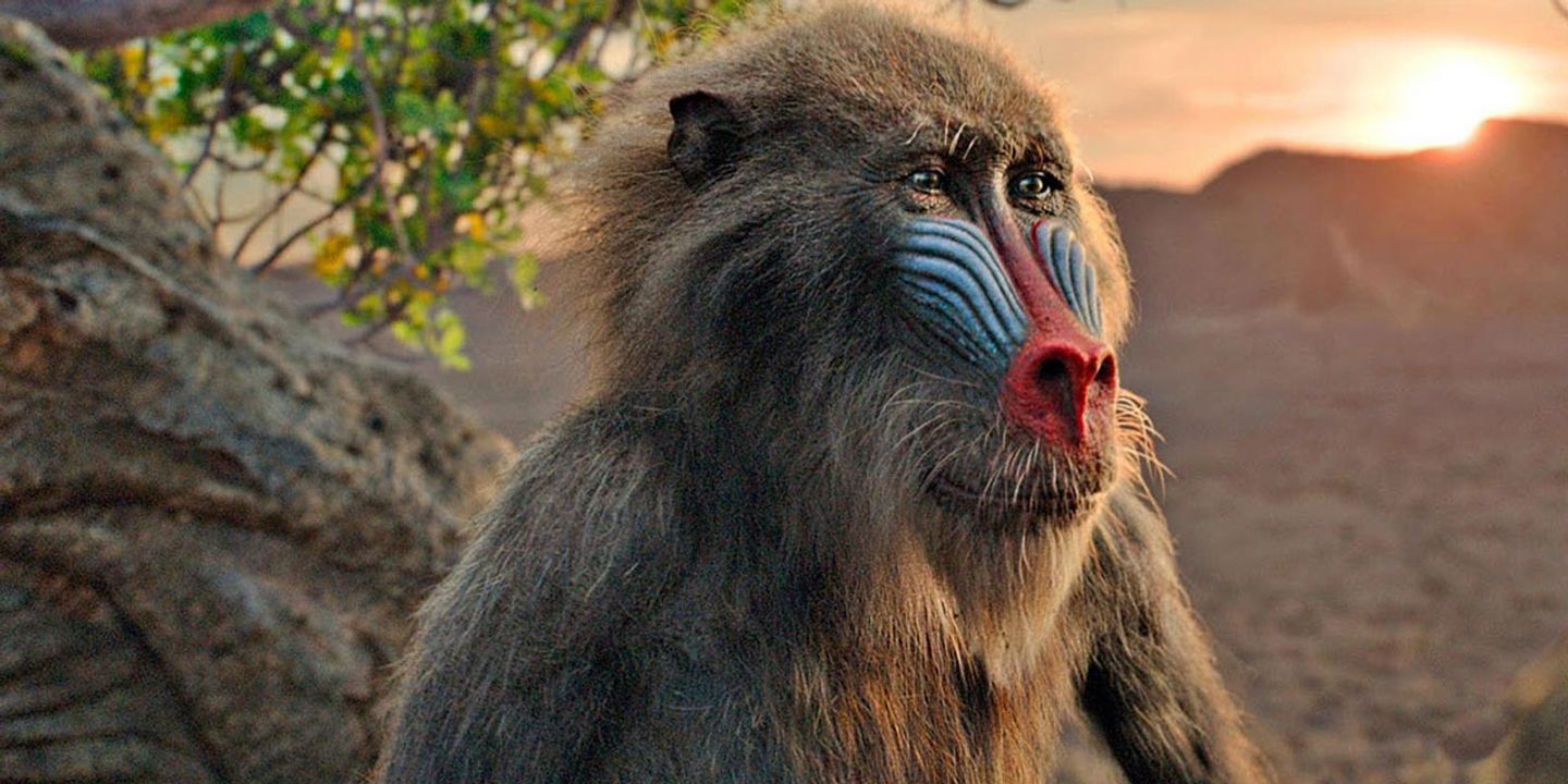 lionking_1.jpg