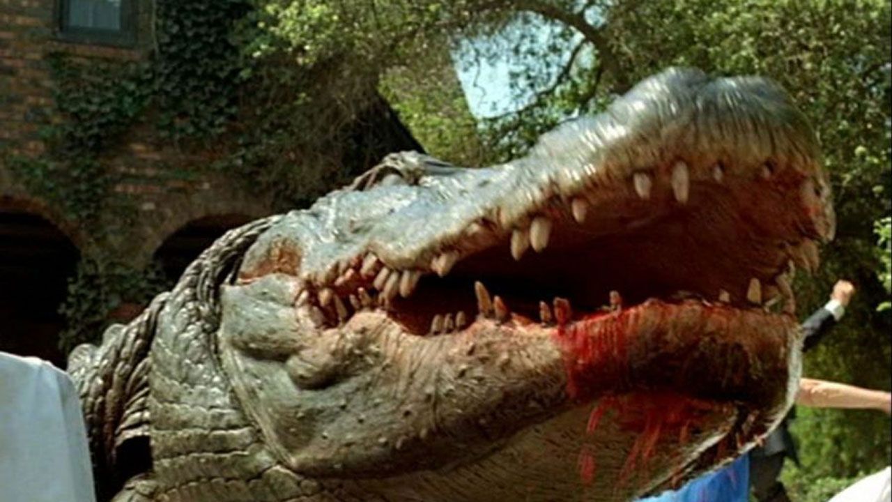alligator-forside.jpg