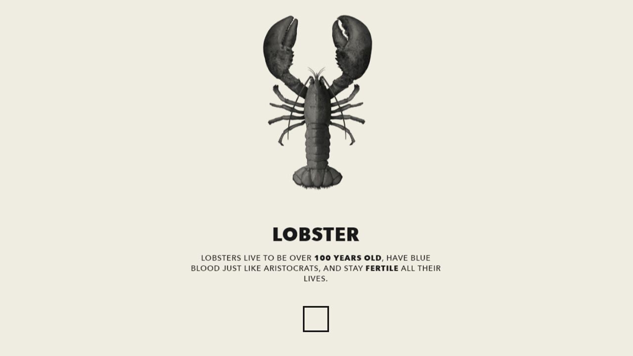 lobstertest.jpg