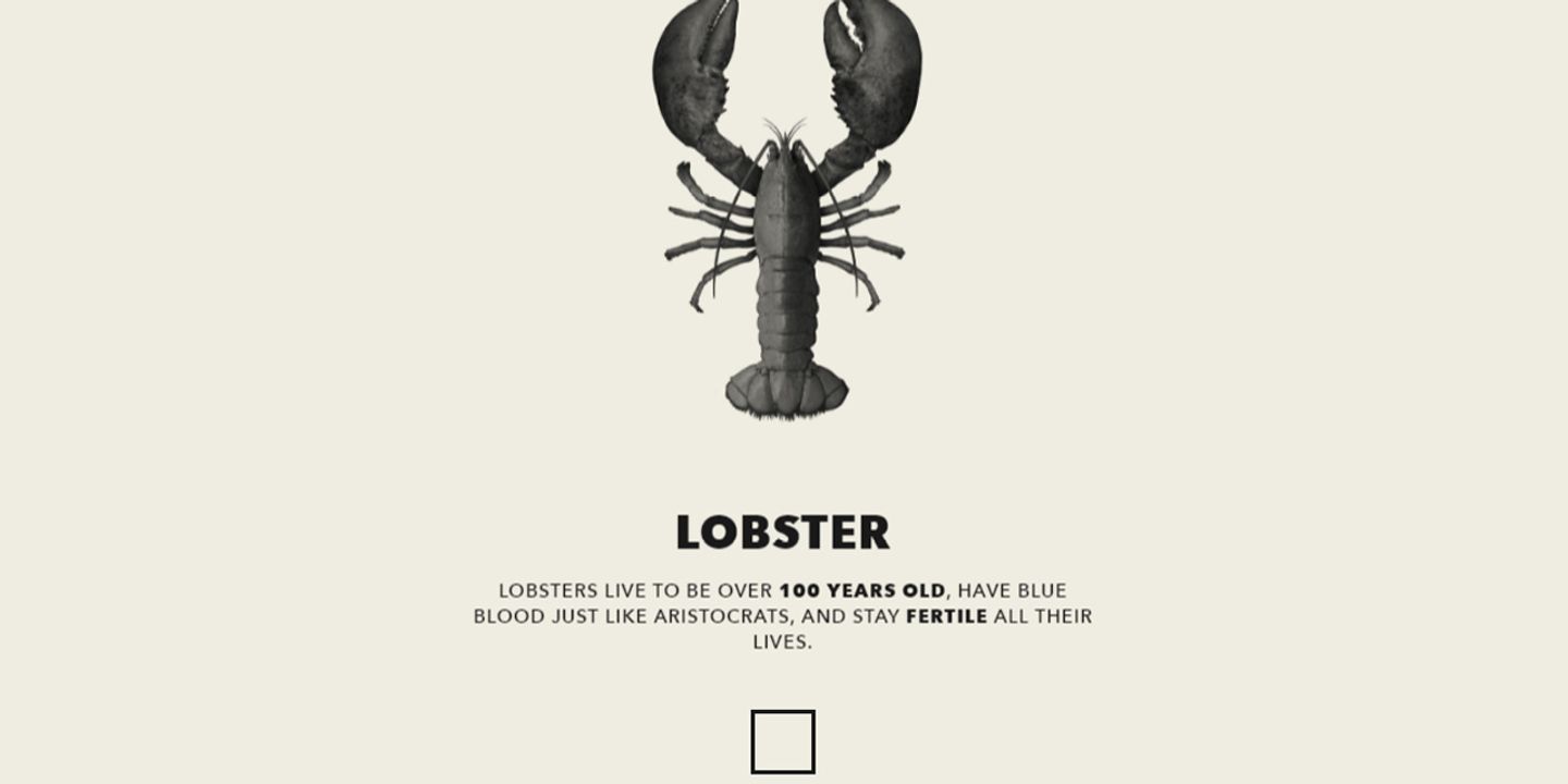 lobstertest.jpg