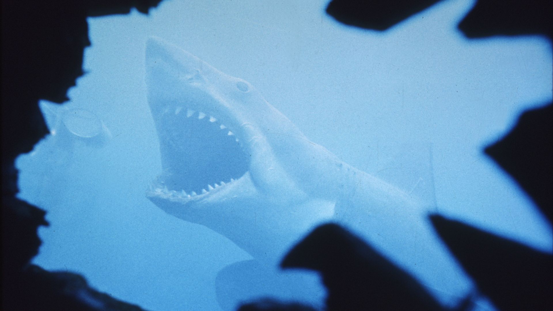 Jaws