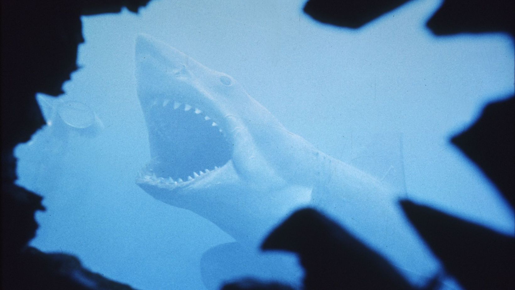 Jaws
