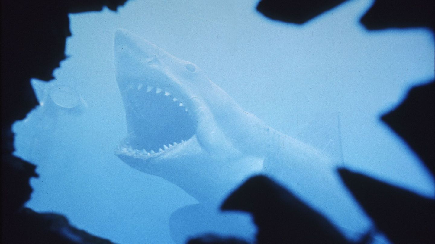 Jaws