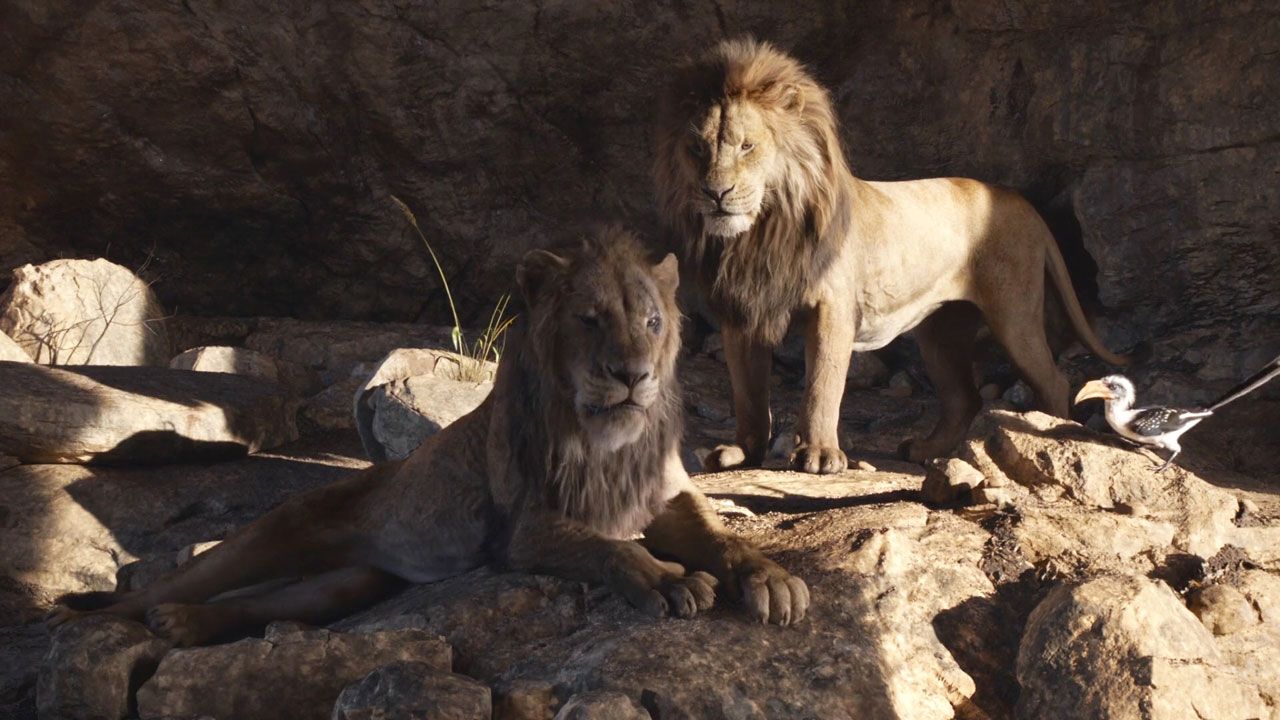 lionkings.jpg