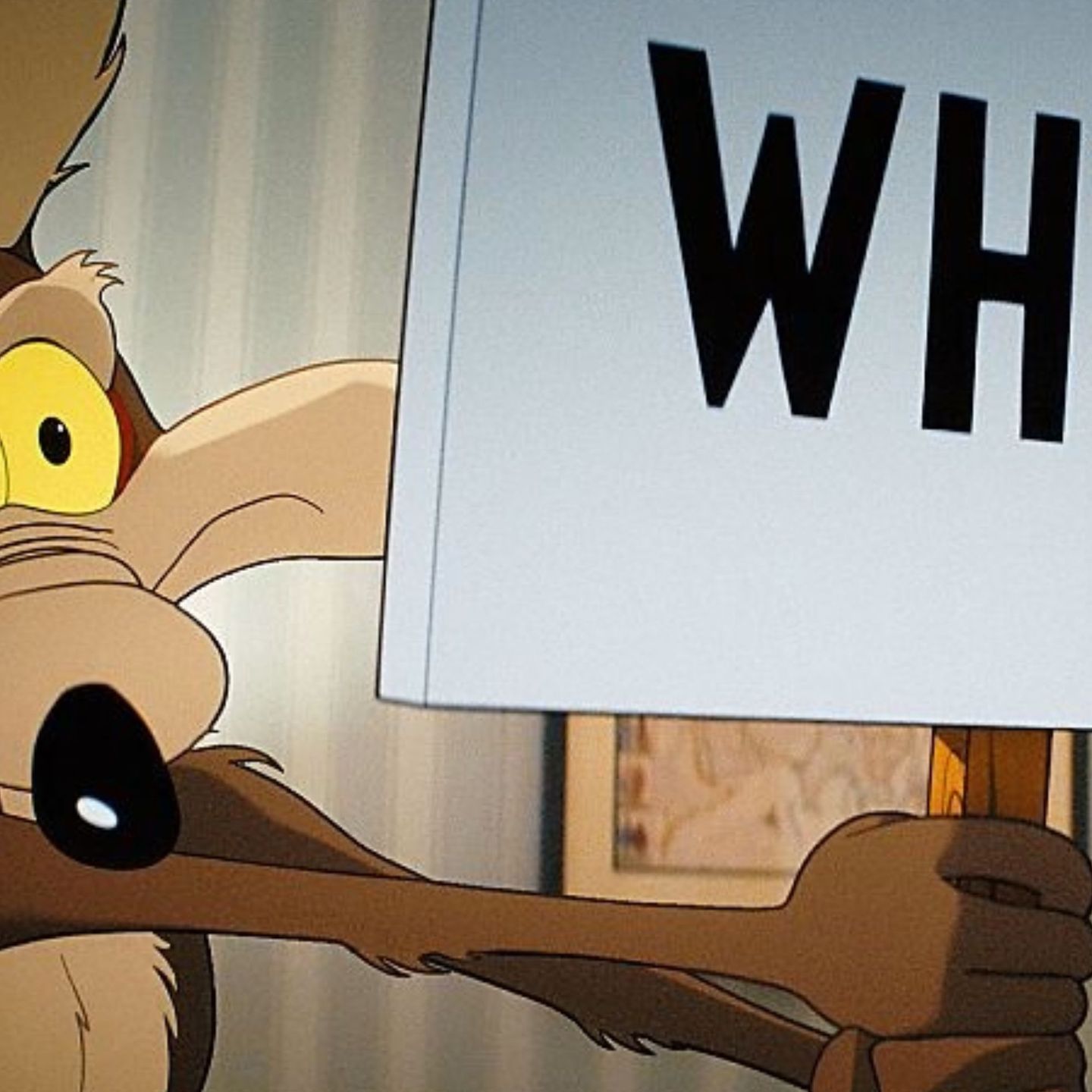Coyote vs. Acme