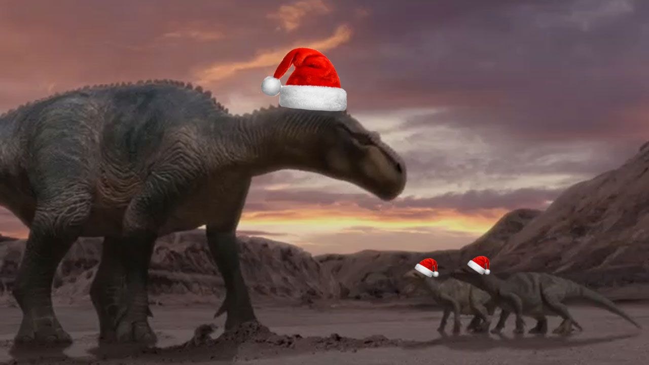 14-dec.jpg