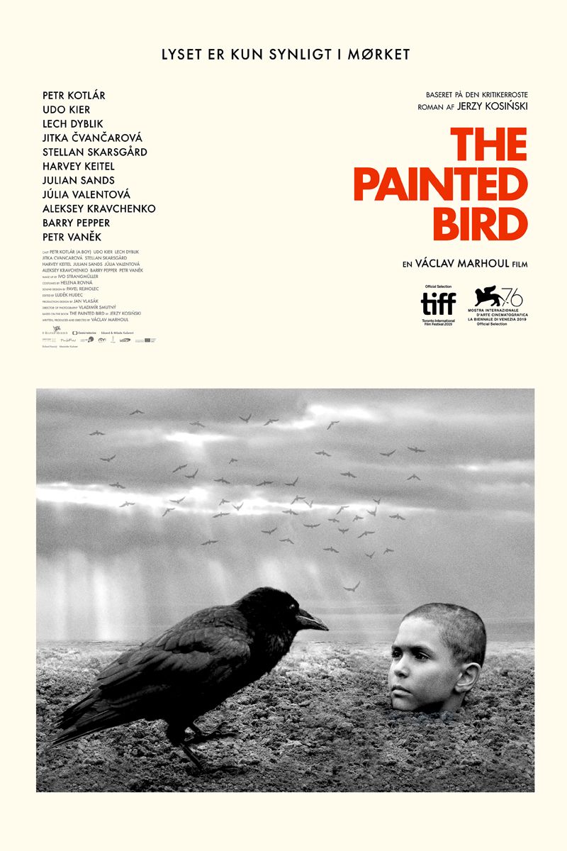 the_painted_bird_1.jpg