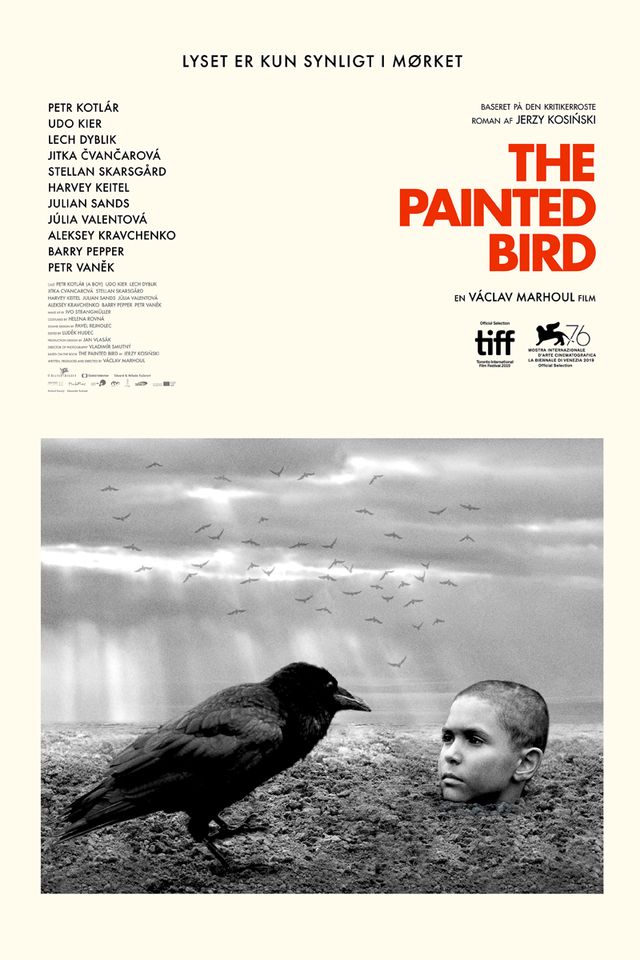 the_painted_bird_1.jpg