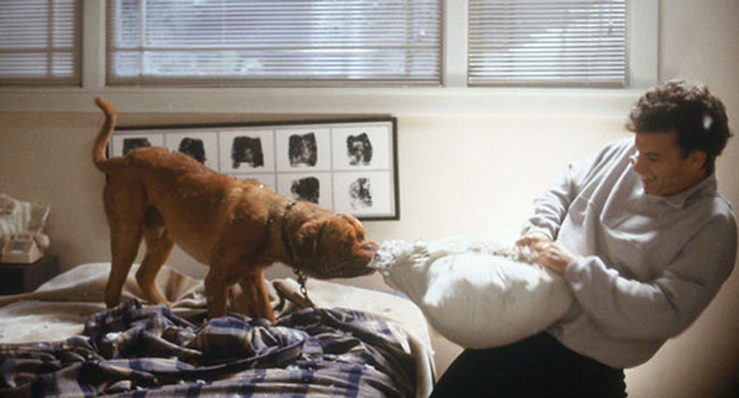 Turner & Hund © Touchstone Pictures