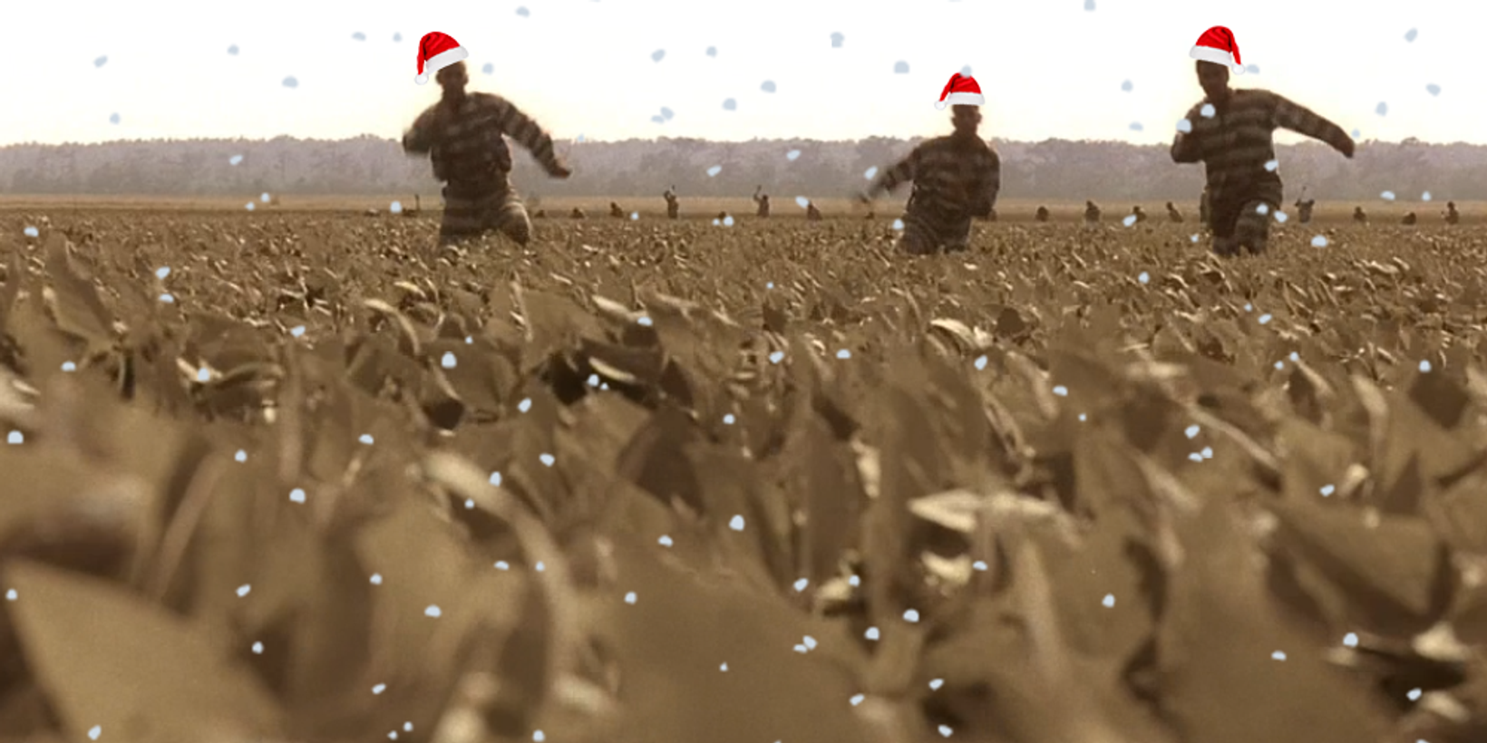 10dec.png