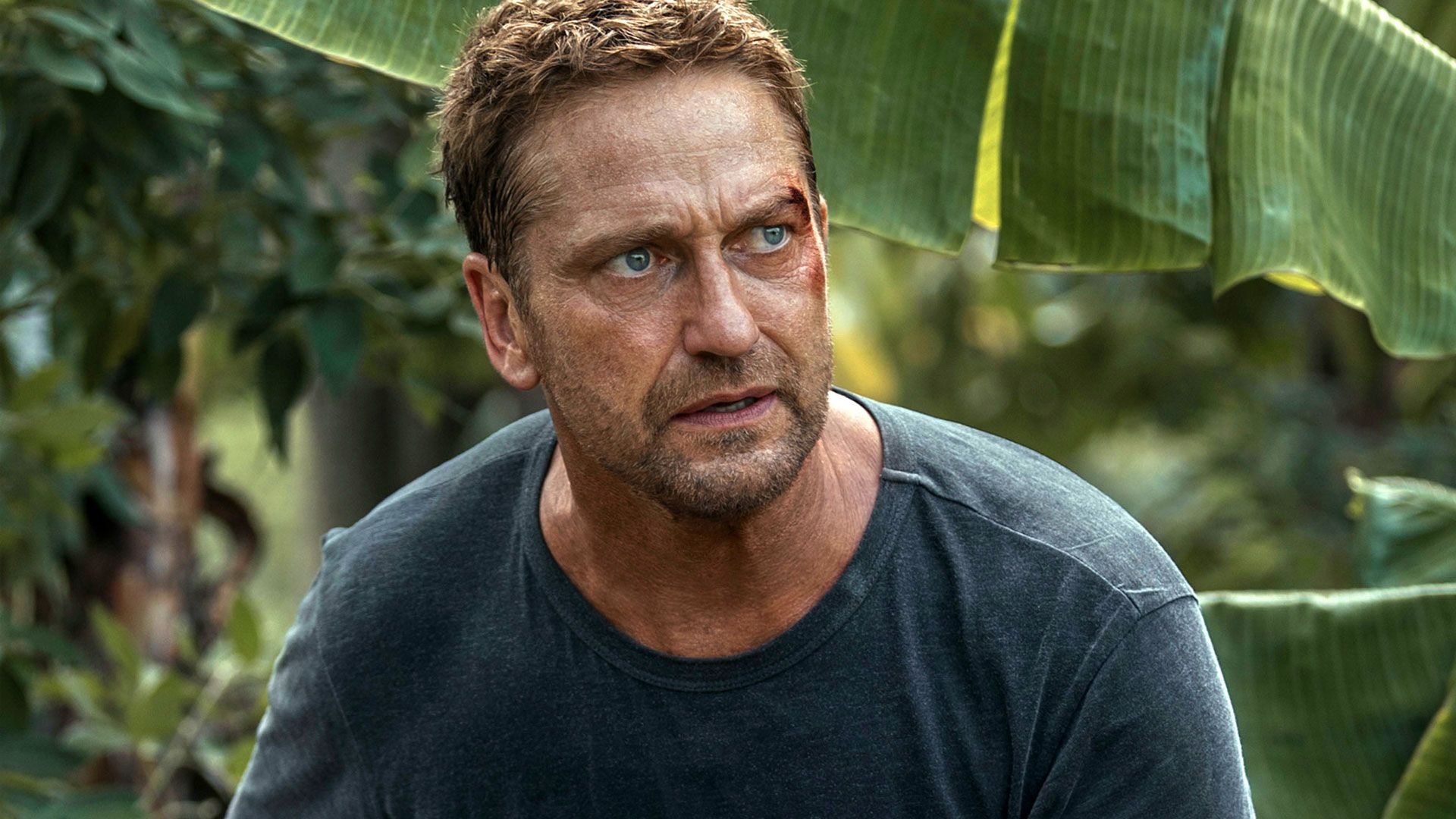 Plane Gerard Butler