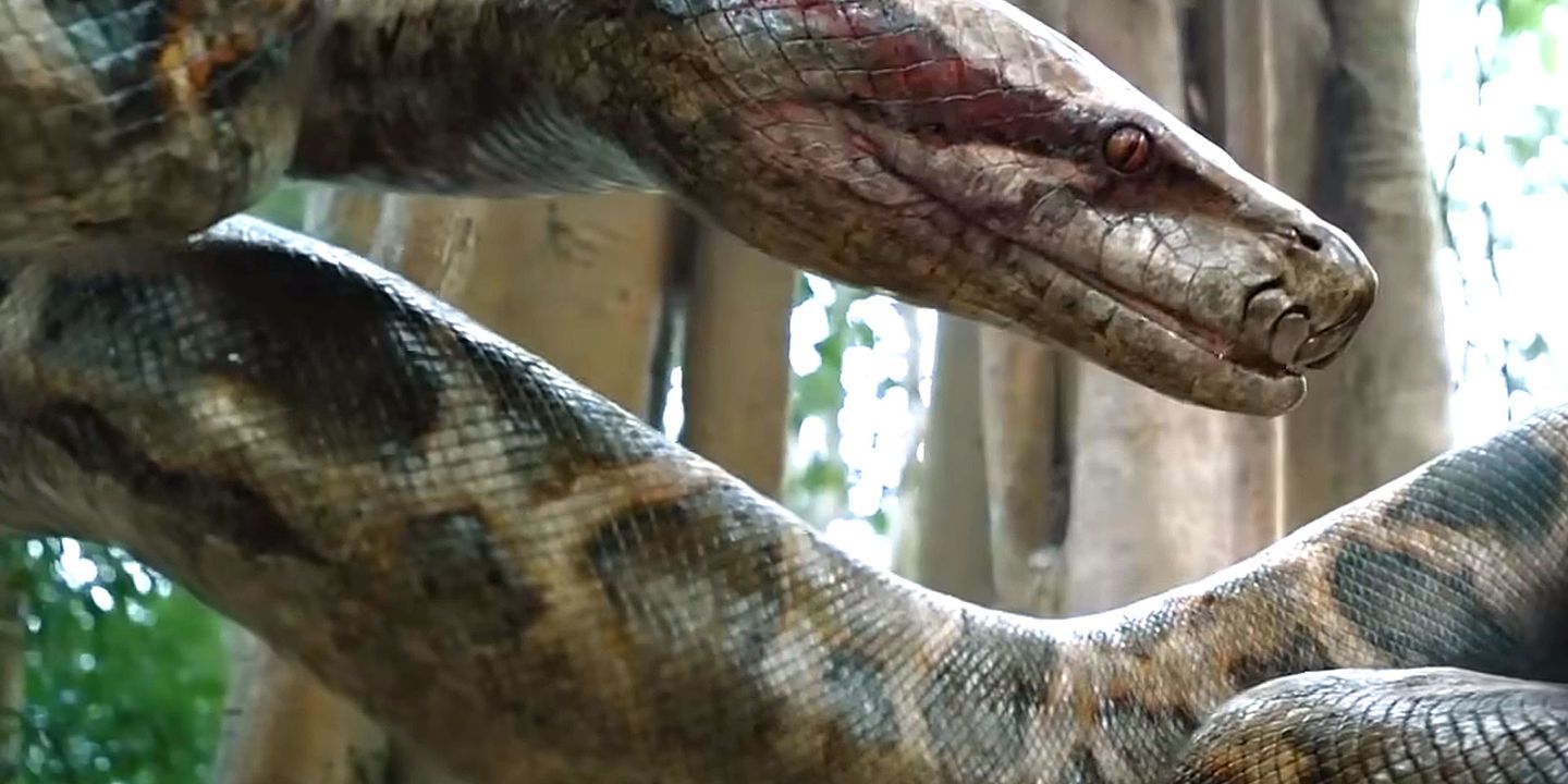Anaconda 2024 Columbia Pictures