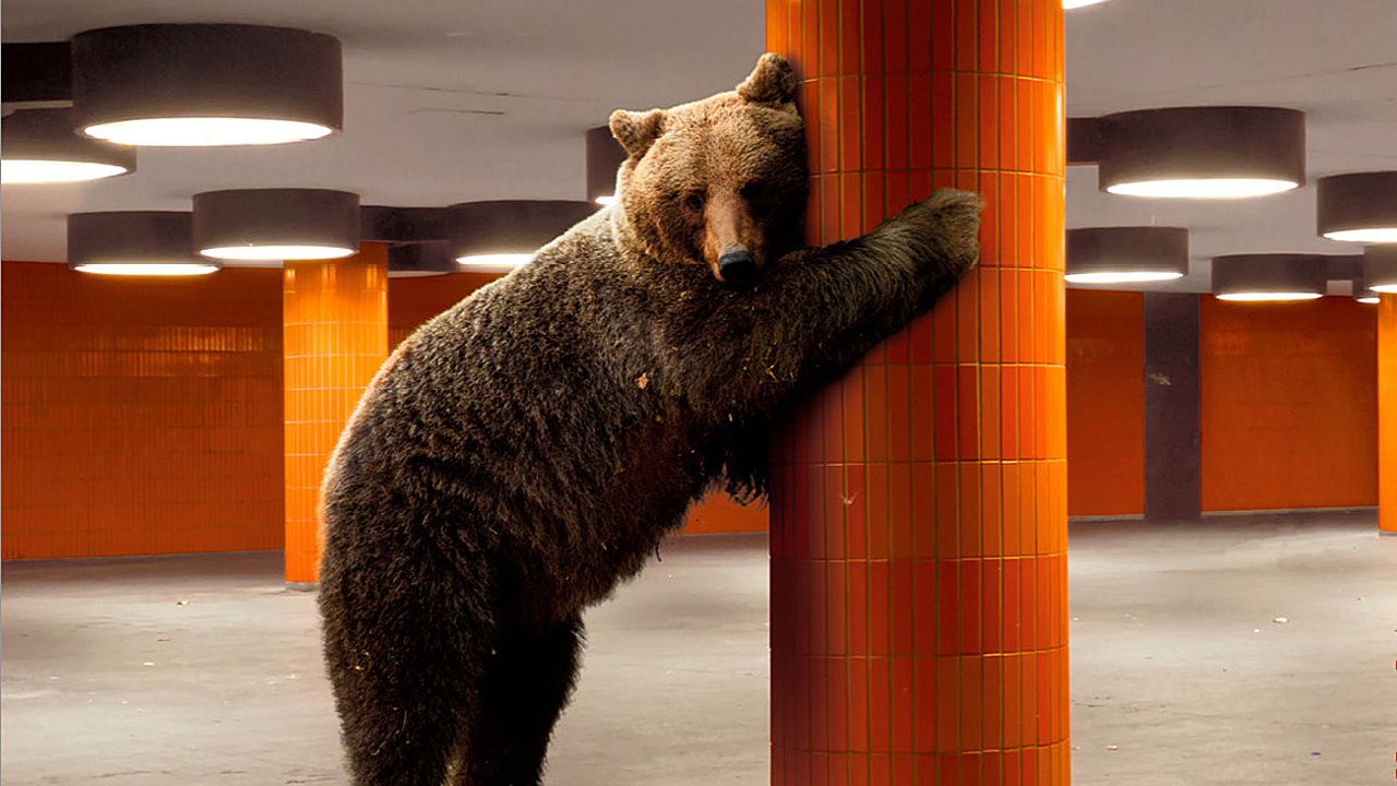 berlinaleposter_0.jpg