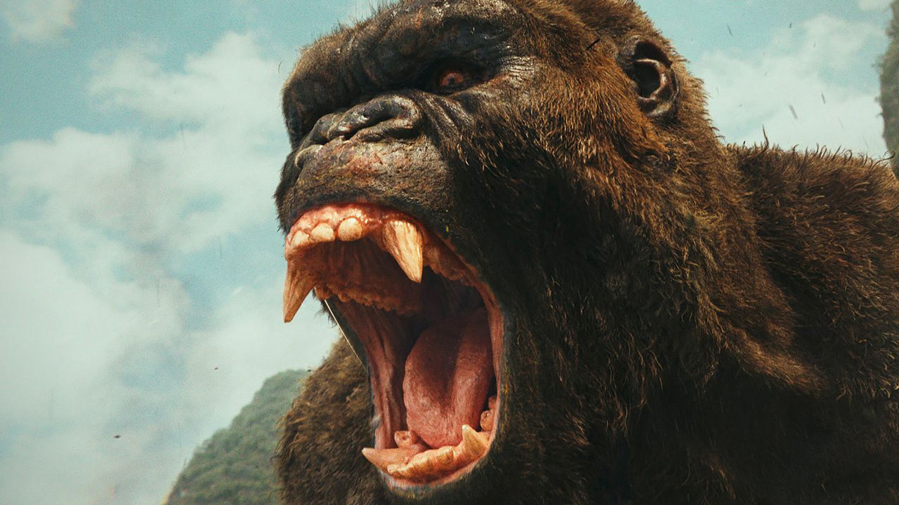 kong5.jpg