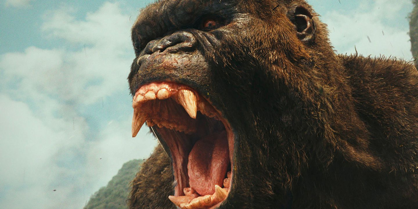 kong5.jpg