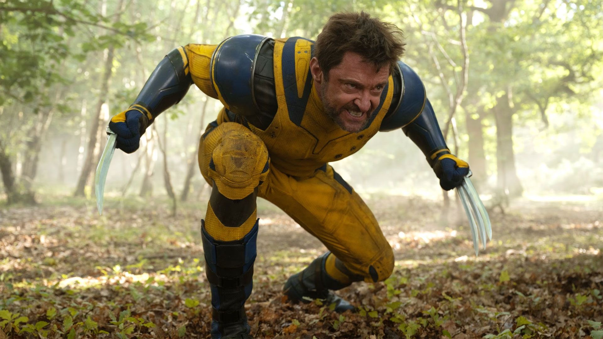 'Deadpool and Wolverine'