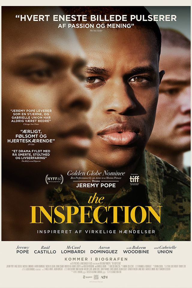 the_inspection_-_image.jpg