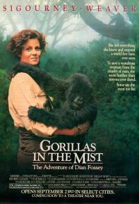 Plakat for 'Gorillaer i disen - Aber på film - Event'