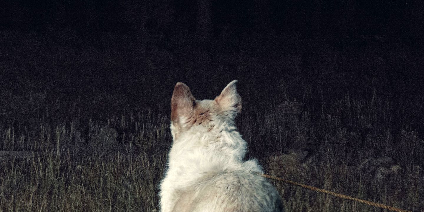 It Comes at Night