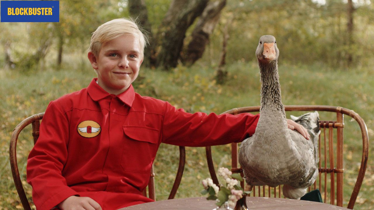 gooseboy.jpg
