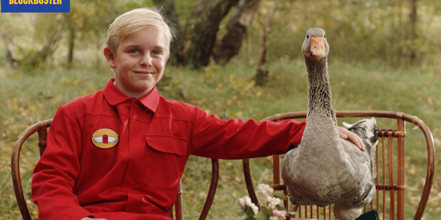 gooseboy.jpg