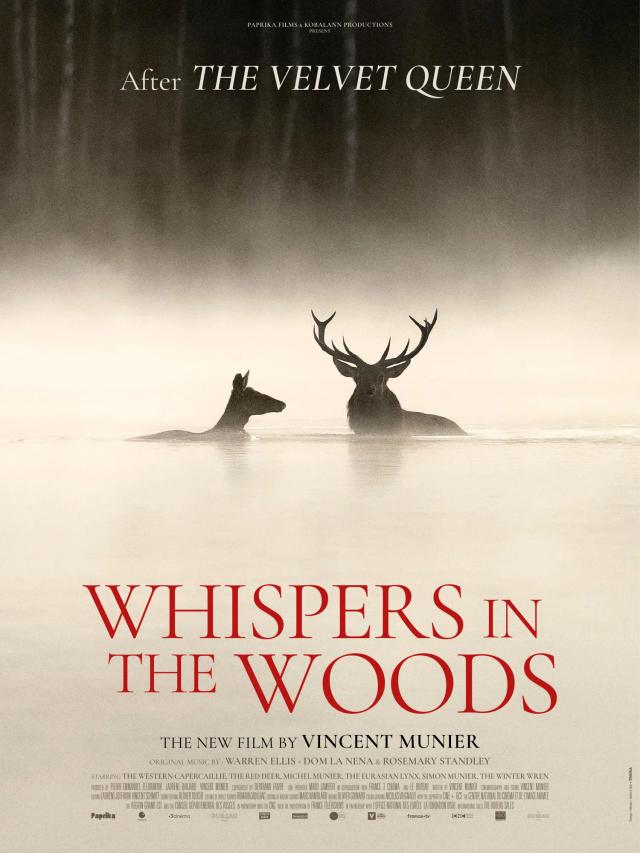 Billede fra 'Whispers in the Woods'