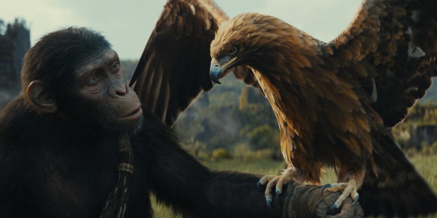 Kingdom of the Planet of the Apes