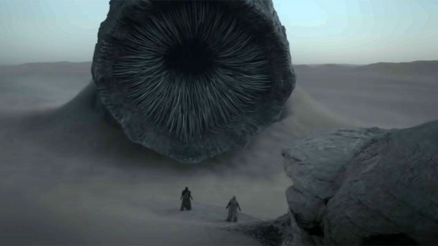 dunebilledenyhedtop.jpg