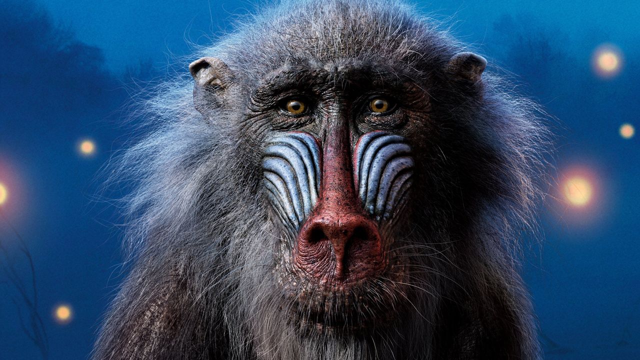 the-lion-king_bu8frl.jpg