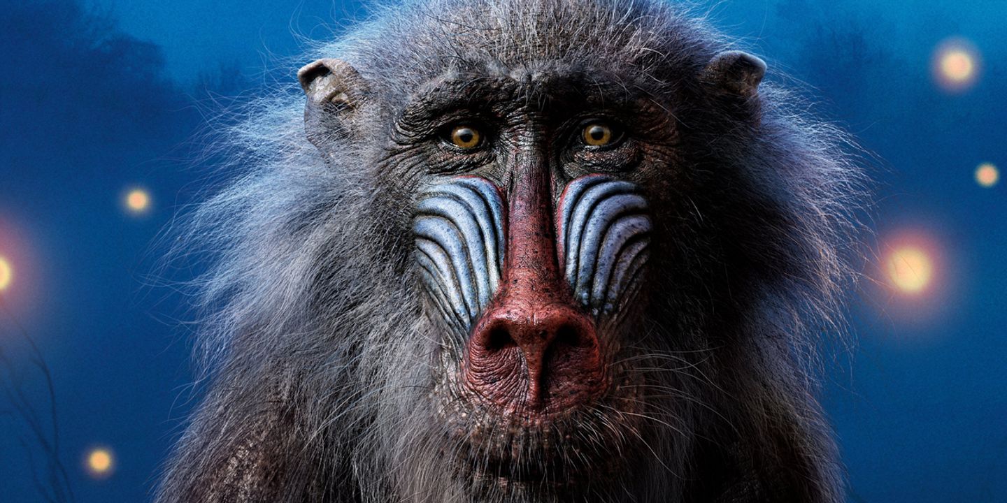 the-lion-king_bu8frl.jpg