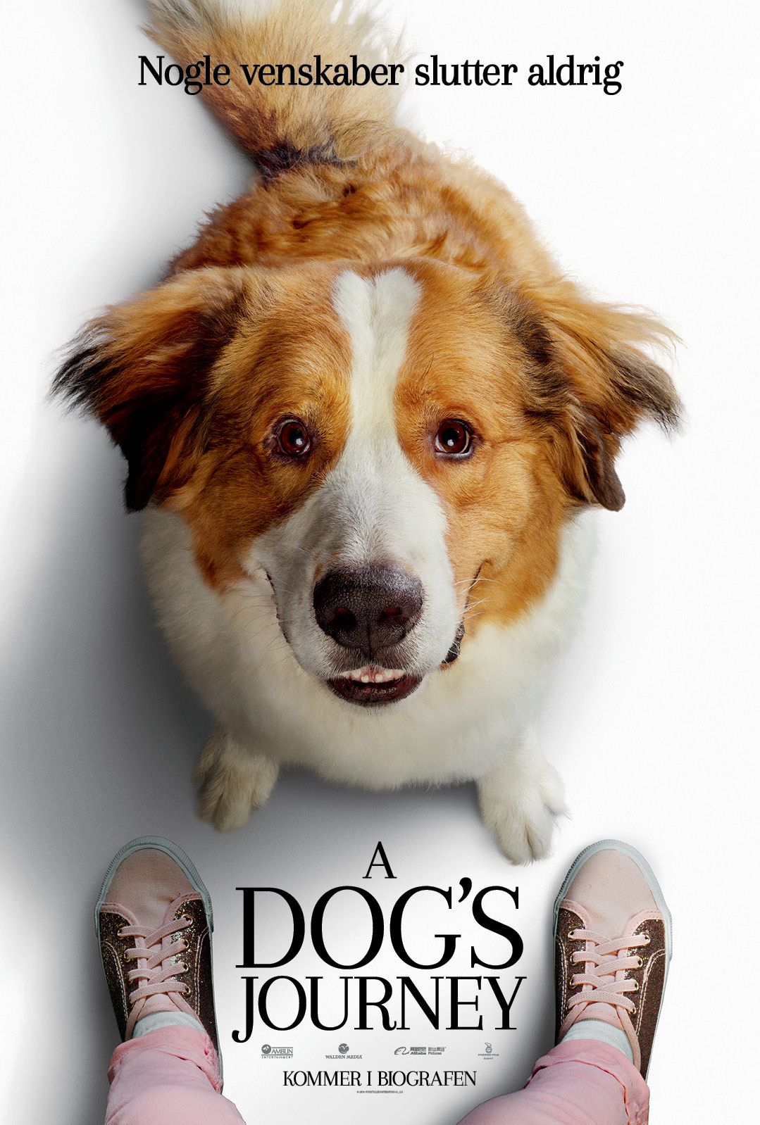 dogs-journey.jpg