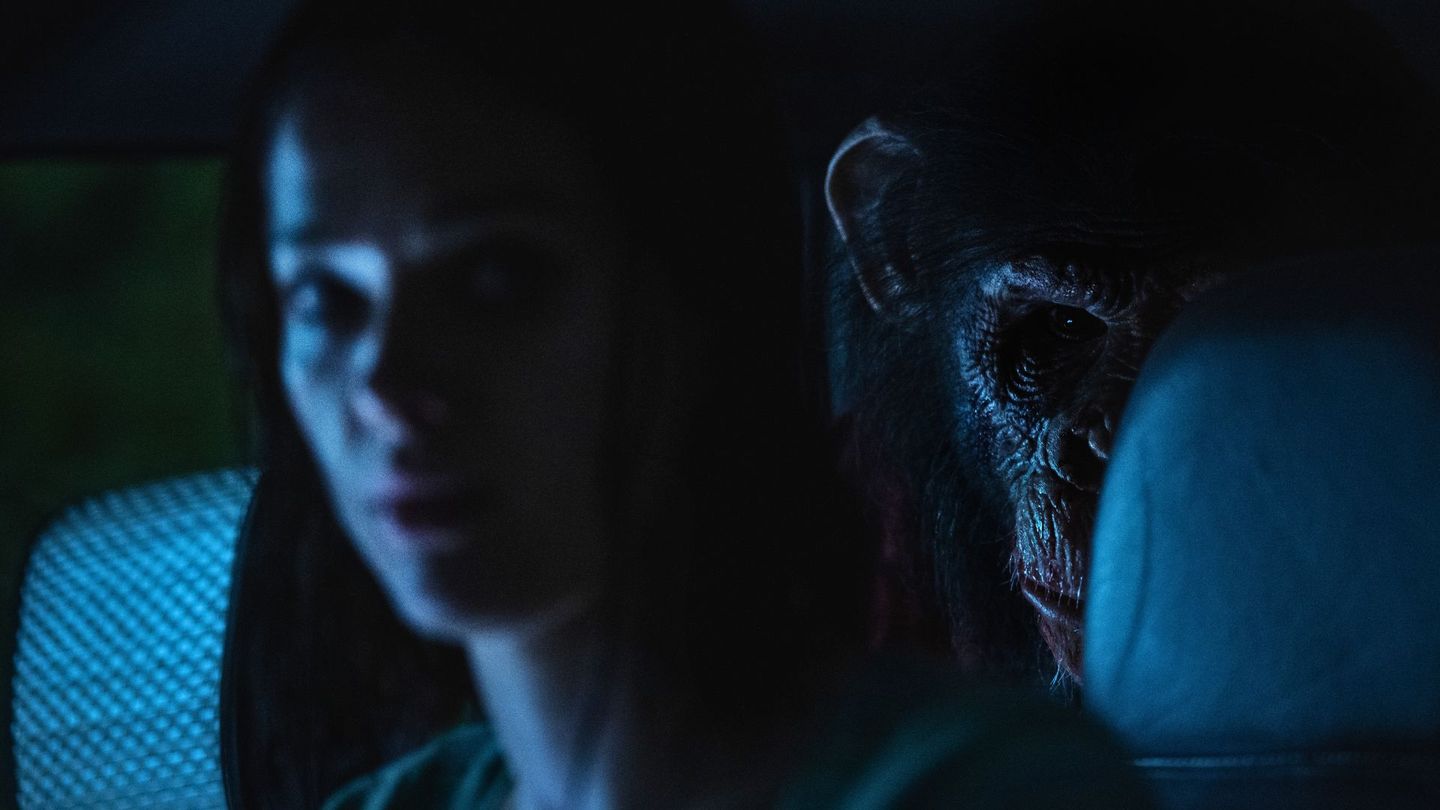 Primate