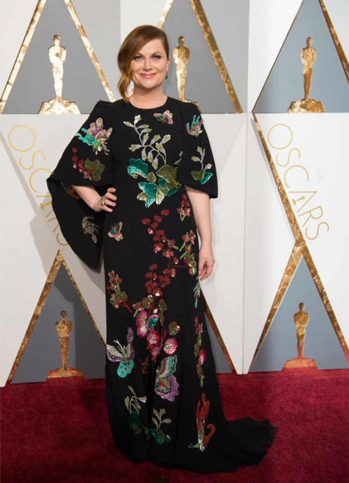 Amy Poehler