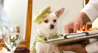 beverlypromo_1.jpg