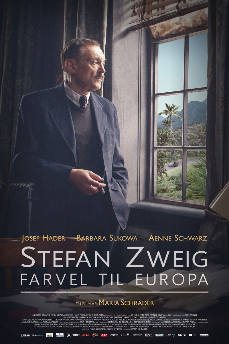 still3_zweig.jpg
