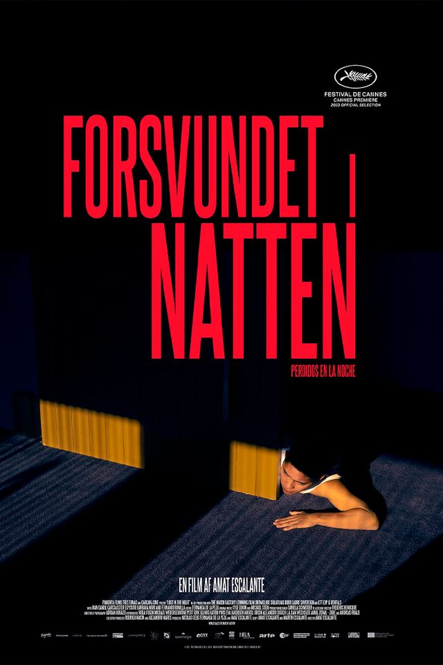 Lost in the Night