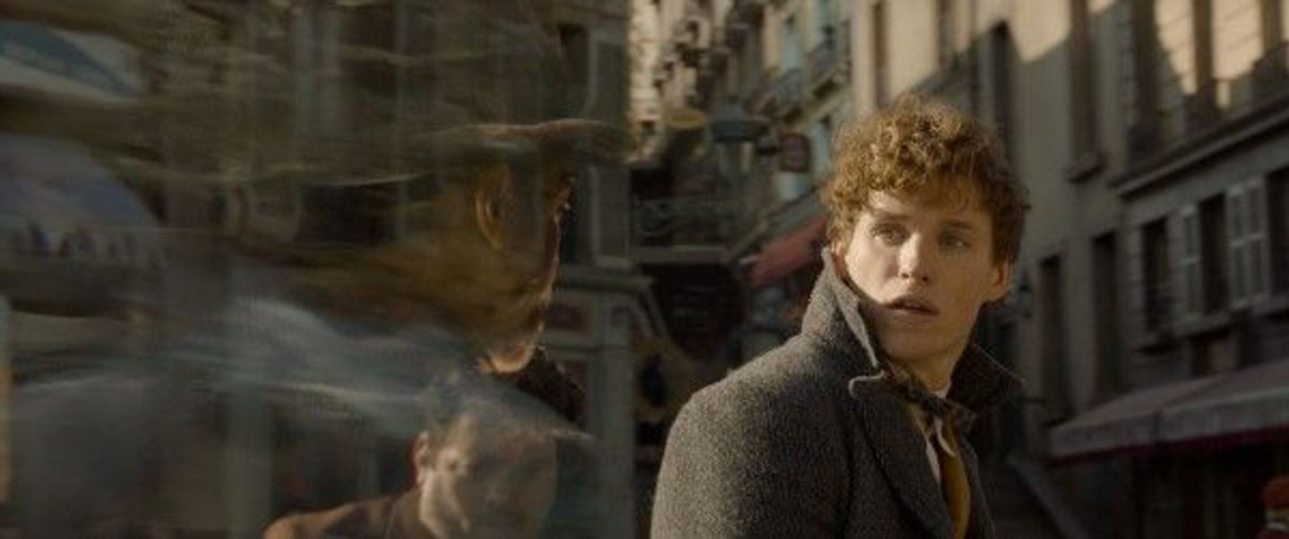 fantastic-beasts-2-eddie-redmayne-newt