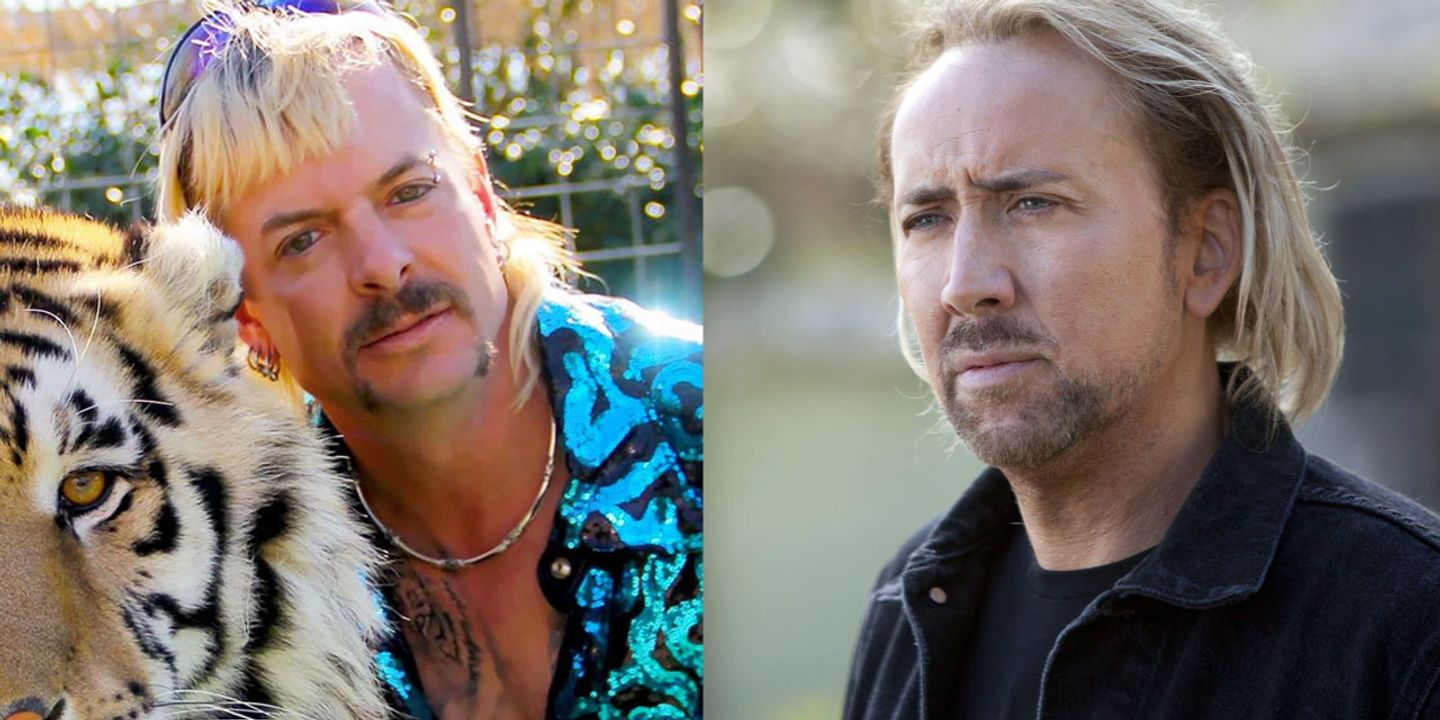 tigerking-cage.jpg