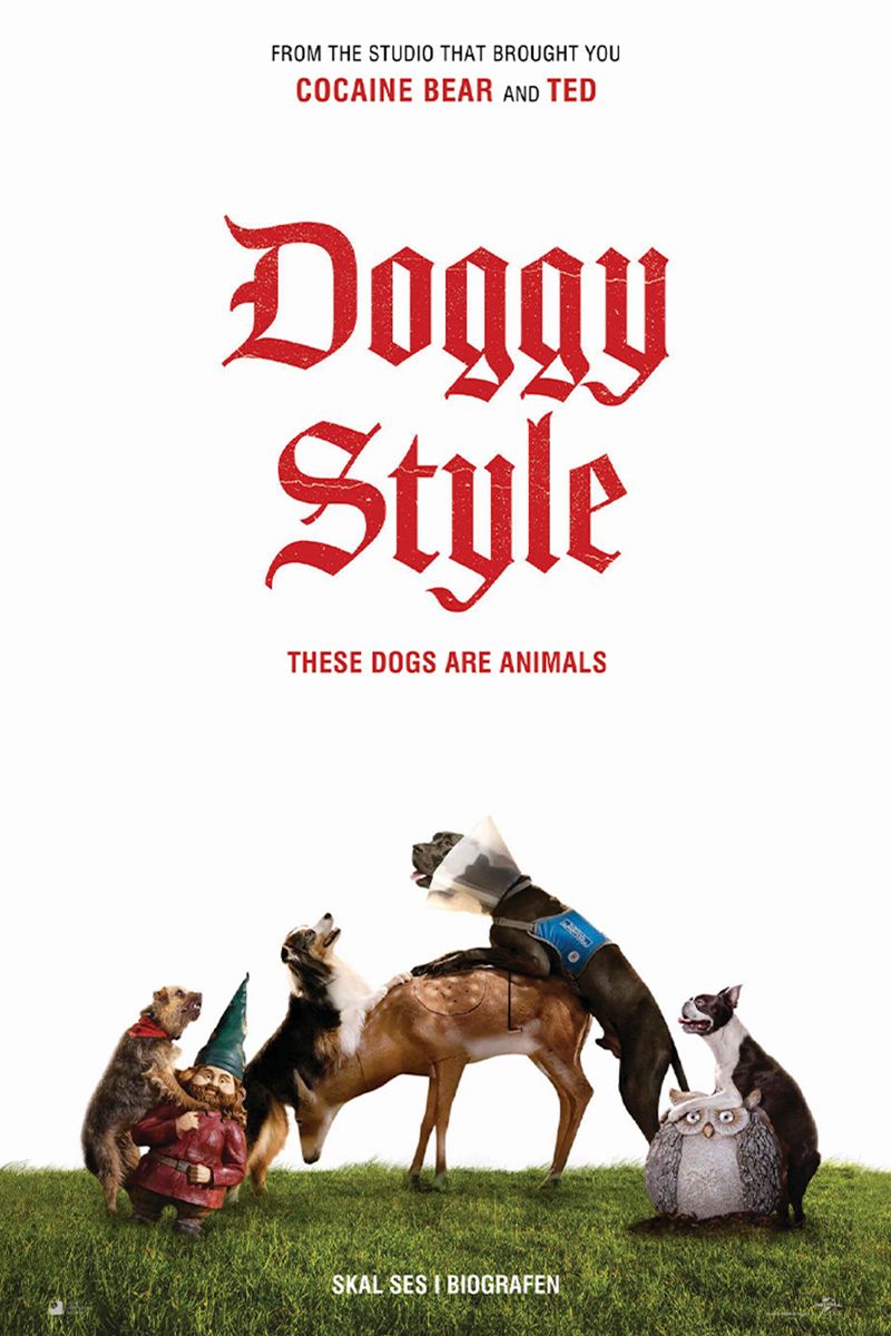 strays_-_image.jpg