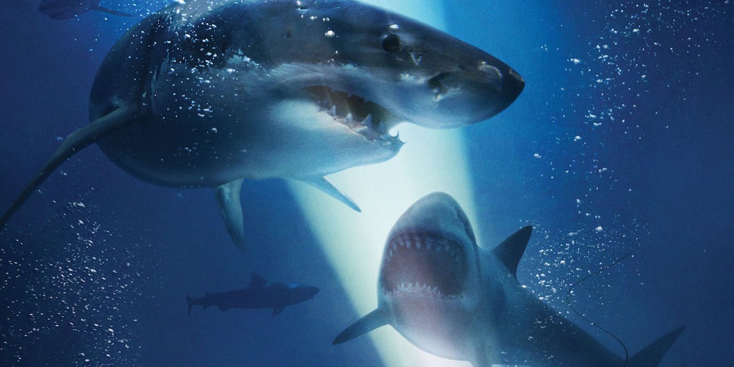 47-meters-down-the-next-cha.jpg