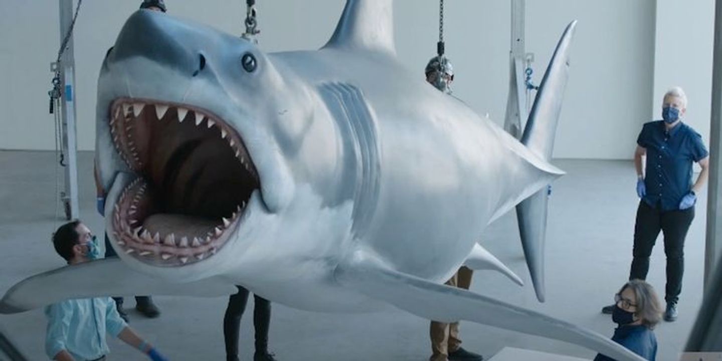 jaws-shark-academy-museum-social.jpg