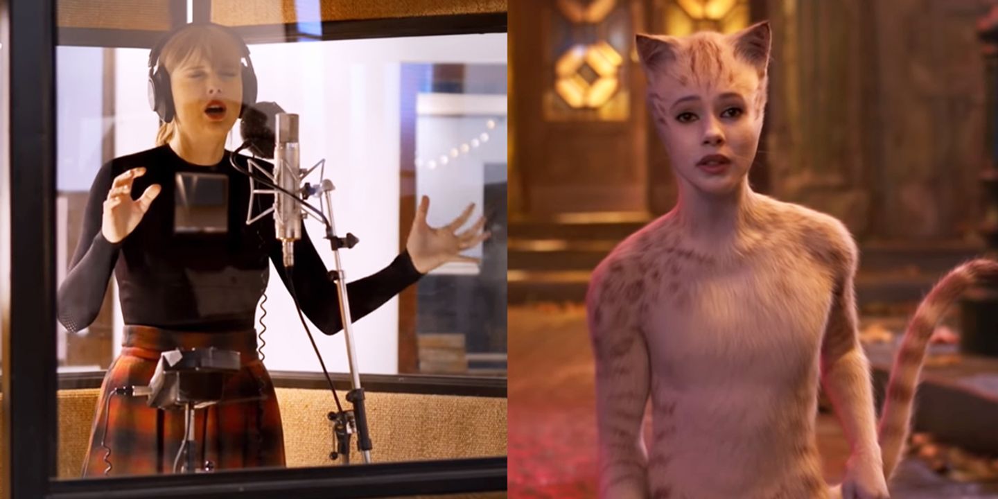 taylor-cats.jpg