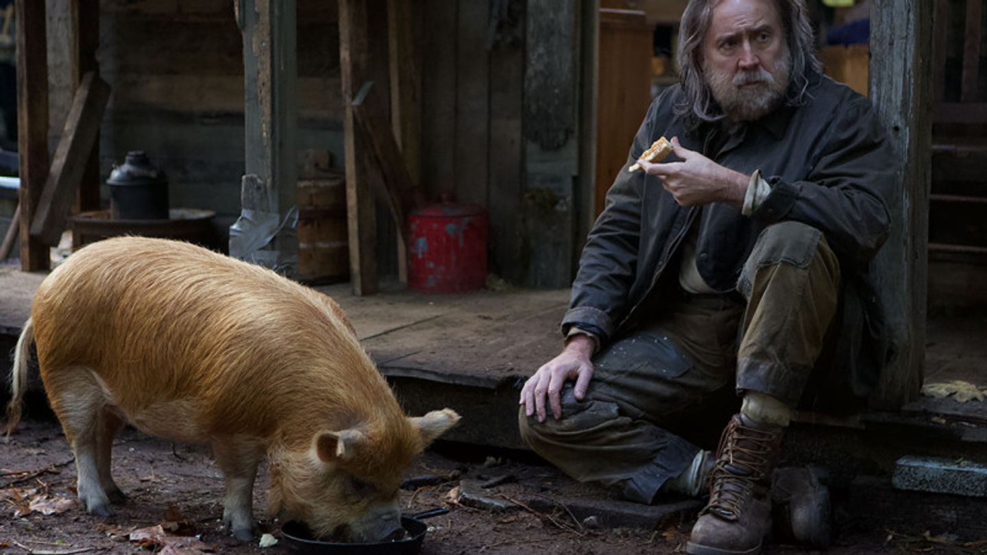 pig-nicolas-cage.jpg