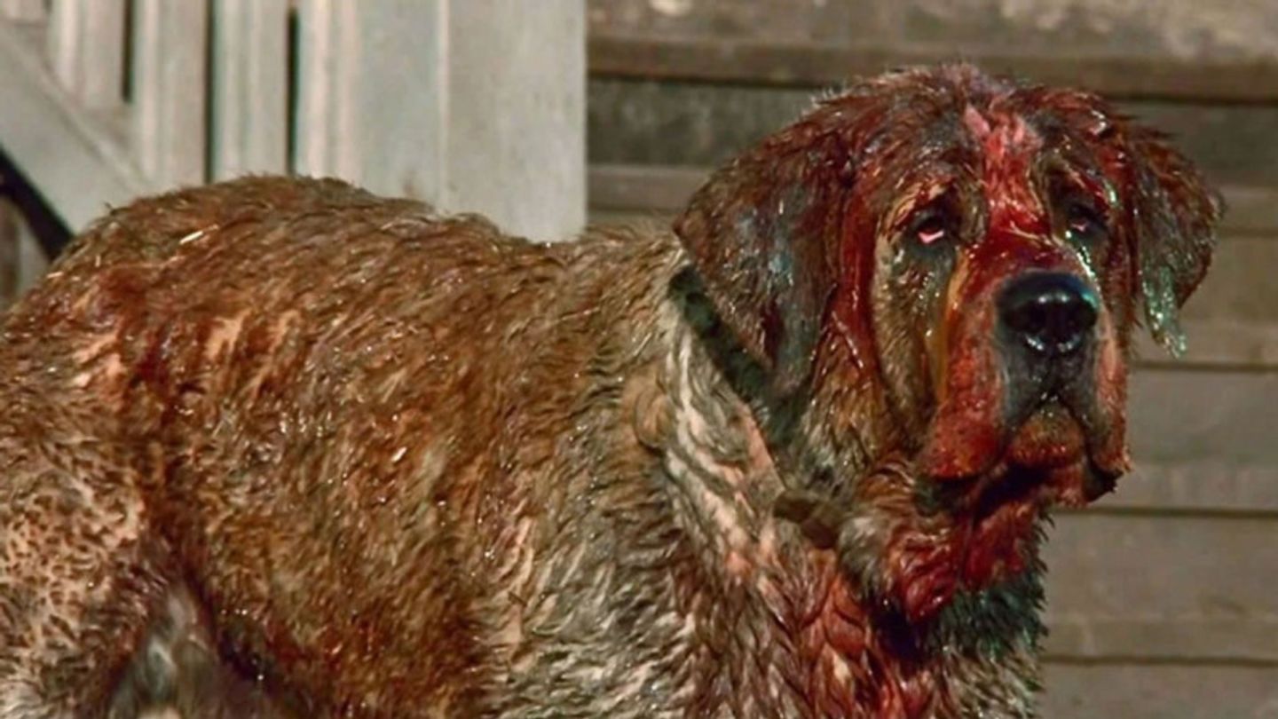 Cujo / Warner Bros.
