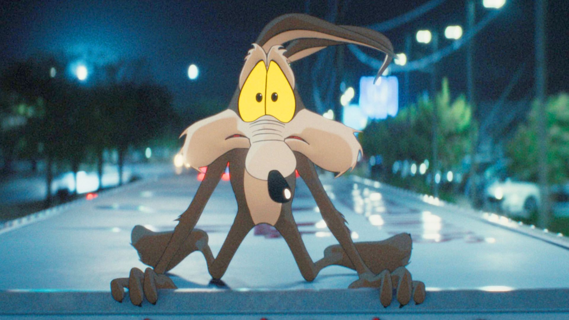 Coyote vs. Acme