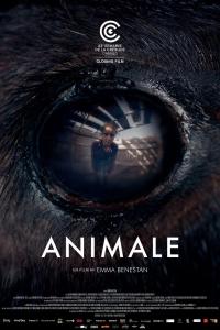 Plakat for 'Animale'