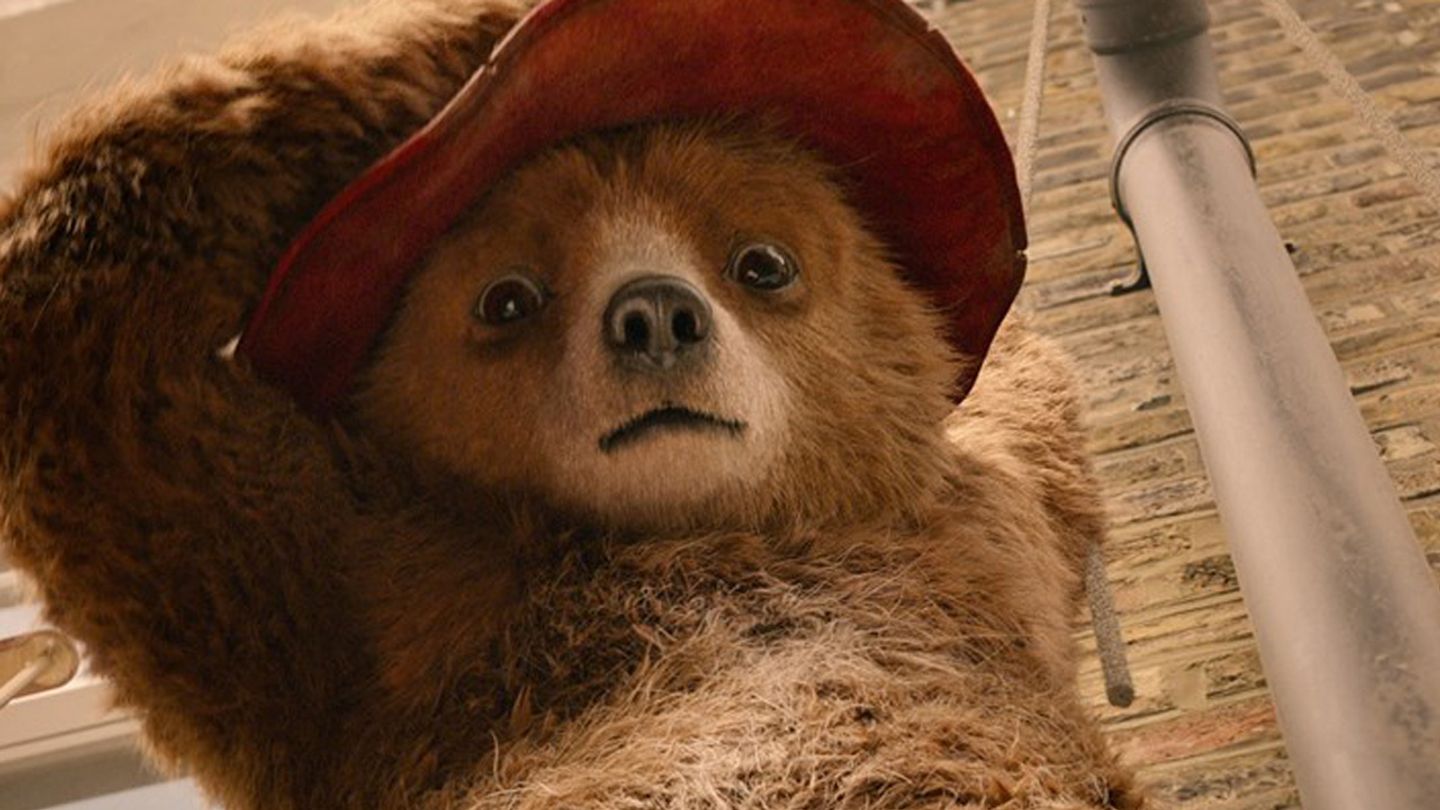 paddington-2-press_59c90875dc51b.jpg